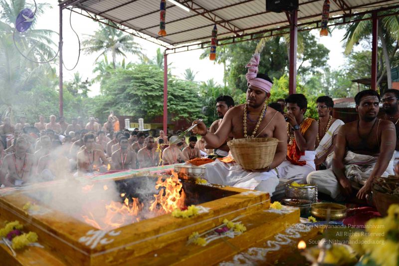 File:20160909 Photo 1066 1px9KfNci7tXVQHeCL7mTtXu1JF0Xp92z.JPG