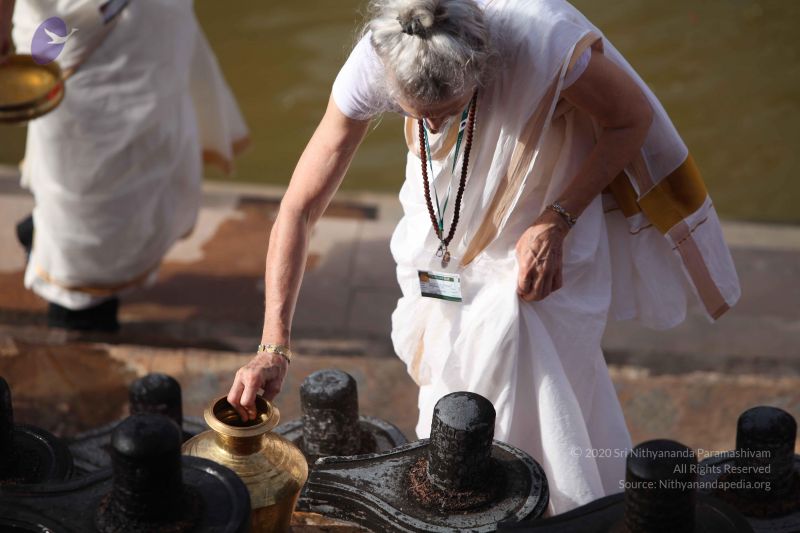 File:20160909 Photo 1069 1MPrNmNmiE4PVTqEDToFyEe95pqxOjVtq.JPG