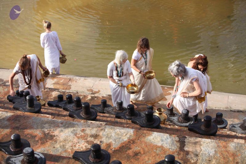 File:20160909 Photo 1071 1H-lCSwU0dn3BfZj-kMueJMn L0UVV22g.JPG