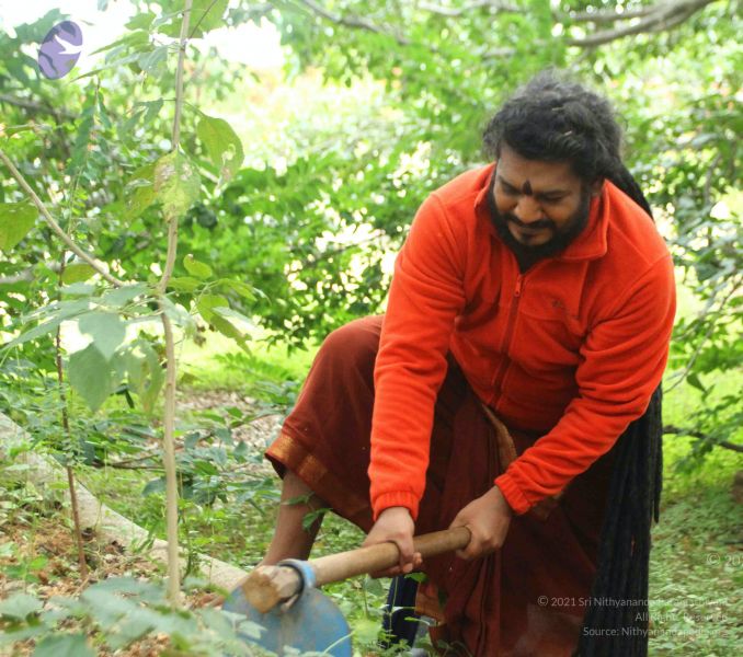 File:20160909 Photo 1089 1PHQI9IUmLzDOrpTTmu8PkO0joUpWD-7g.JPG