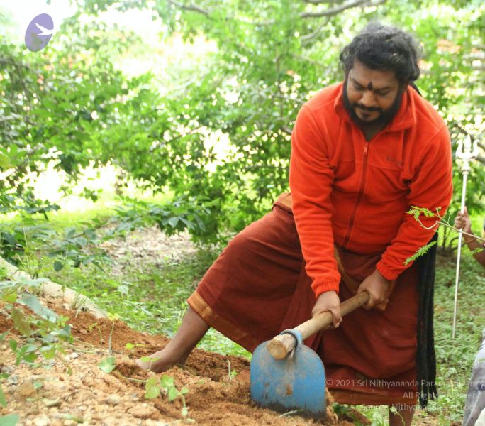 File:20160909 Photo 1100 17d17cQEwBHkqiXZWDOtu0c9M9mZysa5X.JPG