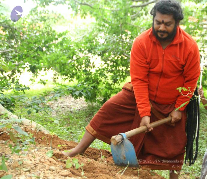 File:20160909 Photo 1102 1y2SJnXhN4KSRHfM7z7A5VPbBNaPx7fUC.JPG