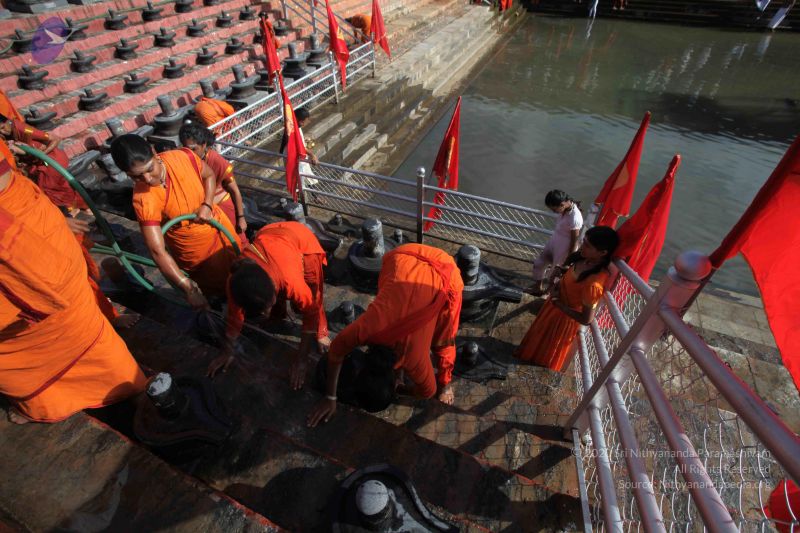 File:20160909 Photo 1126 1IyGXVNwbA6M8A L99B7x36uoWekwqAYN.JPG