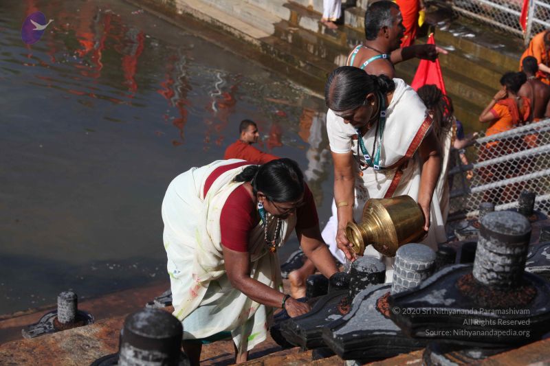 File:20160909 Photo 1140 13sslt0VD7ysu8L2cYrVhCJhZAan-Qi-3.JPG