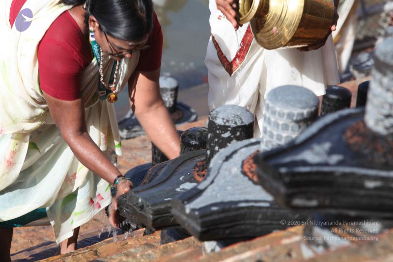 File:20160909 Photo 1142 1TxsTHt-CPVmT9riuw8rbh1Mxgg9WUIKC.JPG