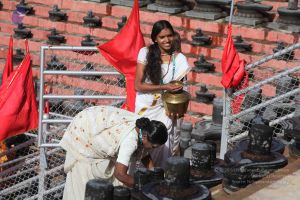 20160909 Photo 1143 1qz4yG30Z9yJiq0on5tbpOGJvSwoEm0ES.JPG