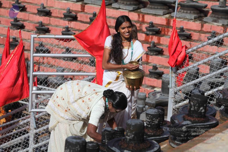 File:20160909 Photo 1143 1qz4yG30Z9yJiq0on5tbpOGJvSwoEm0ES.JPG