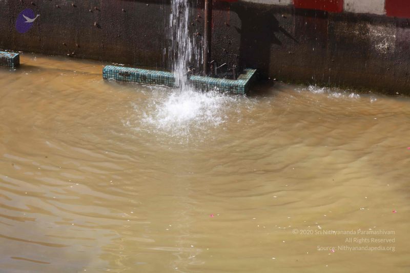 File:20160909 Photo 1151 1Fr8vFiWcoptFVMSseahd-KVbk9Lt8mER.JPG