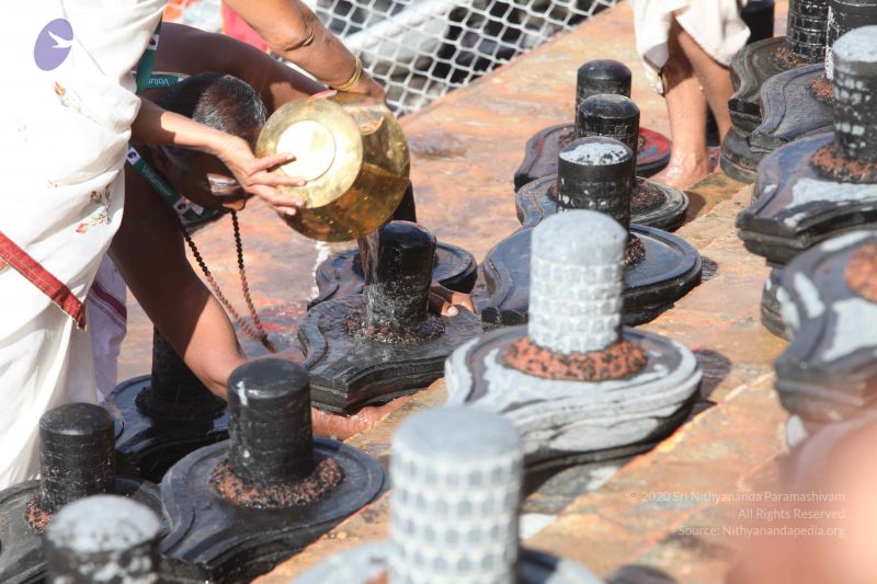 File:20160909 Photo 1153 1G9rTI5If9Ud4wBA7XtWnBarIVguHdE-i.JPG