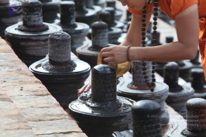 20160909 Photo 1156 11UtBYtblf9ZOLkAFKKNUg4N4aVwtvcHh.JPG