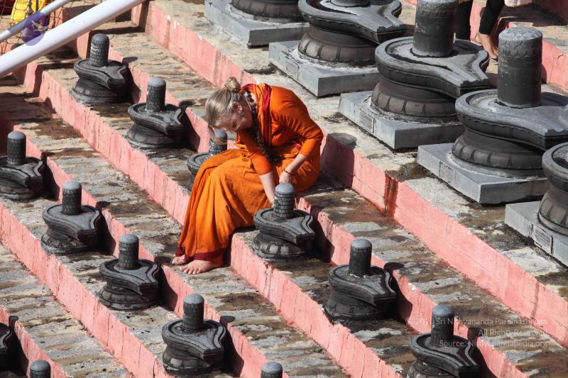 File:20160909 Photo 1162 16DHH95tchG4nK7WArPfsokFvi bTLRHZ.JPG