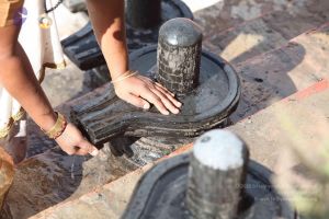 20160909 Photo 1163 1NzuGEwVs1zHJTGFSbeboZpUzwxZGnpDR.JPG