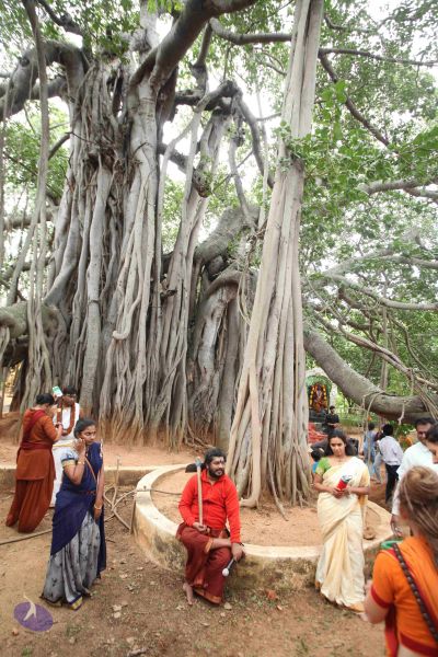 File:20160909 Photo 1167 1To-7F3yEbdBIJZA9xBeqKA1RtvvOv4ql.JPG