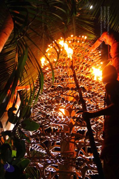 File:20160909 Photo 1176 18uJ38MDzPHDaQRCTj5wOfv3oI6odkiHO.JPG