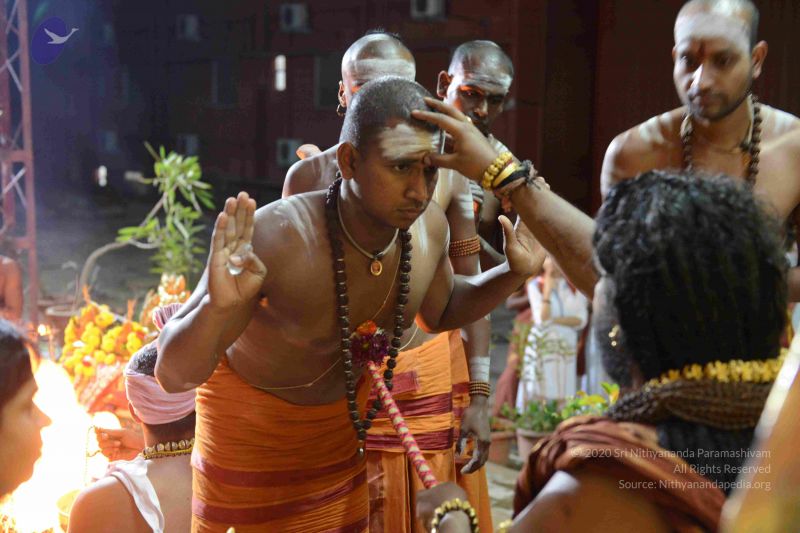 File:20160909 Photo 1309 1np VAr87okwsclWmd8qB0Djj2fETiPul.JPG