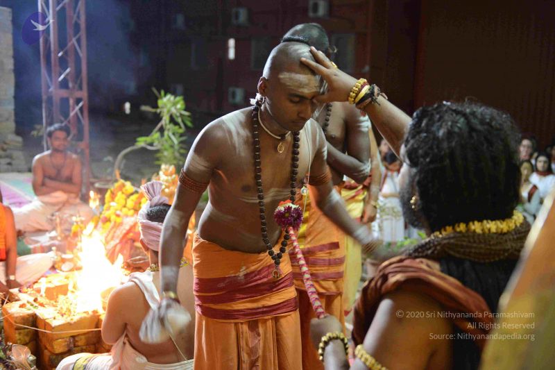 File:20160909 Photo 1310 12FVwgW1vXmMQGT4 wQp5fpgp5lr4TvWI.JPG