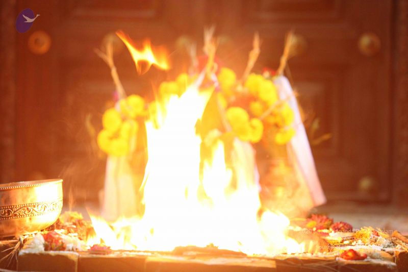 File:20160909 Photo 1384 13iI79bXYi10L4eg-kKzRiIIrso 9JW1t.JPG