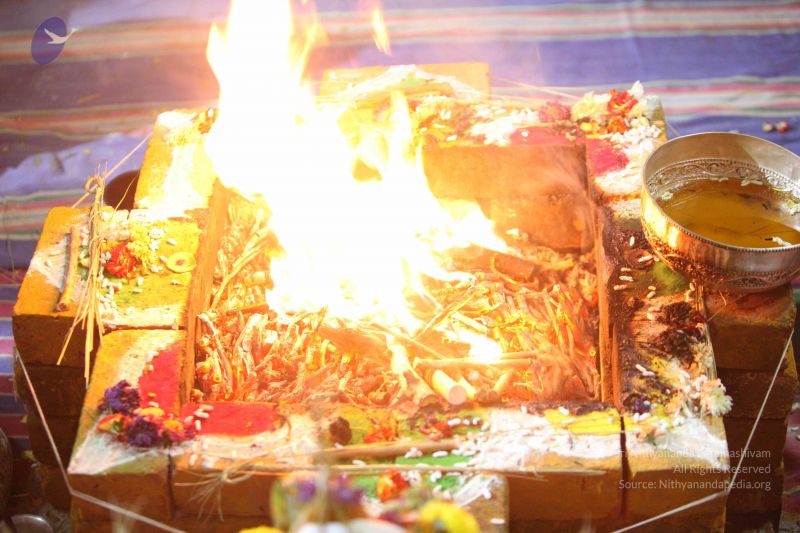 File:20160909 Photo 1390 1Mv8Fcje02fqslrcgDcHU4PnzQdgD5nkz.JPG