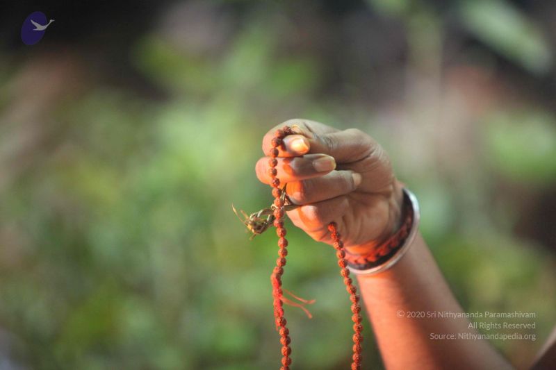 File:20160909 Photo 1401 1WY9uBm1FUREkKS4chBvHwJlETt2M0jnf.JPG