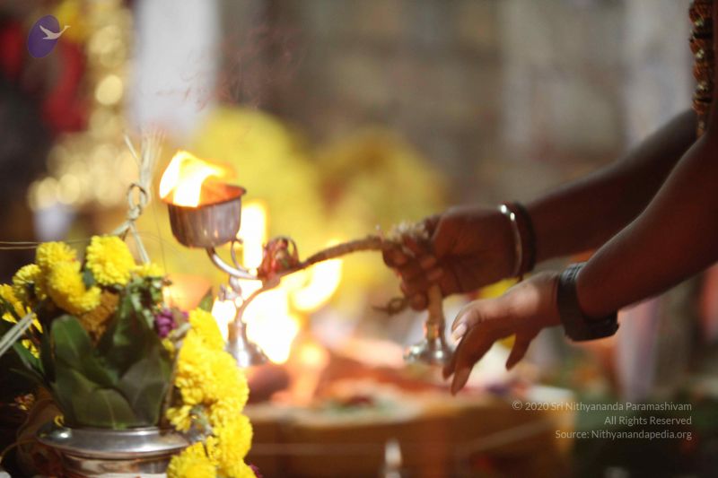 File:20160909 Photo 1437 1GZBaFWst78XcFTzEeKFH mEM4xRF7Pk9.JPG