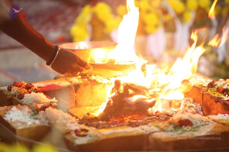 File:20160909 Photo 1439 1pOK9mRCt91ttycMXN9ZW10F-UgwWuYkw.JPG