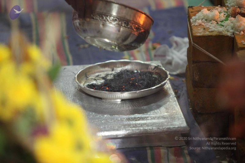 File:20160909 Photo 1440 15Ab0HFU7 qVMA7bRw7LGPiLpruQWGxam.JPG