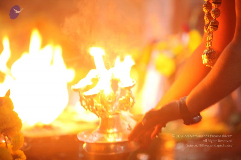 File:20160909 Photo 1446 11Ceu2 we3NqpgcJzyjml0YE7uUeZ3Zqp.JPG