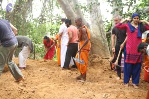 20160911 Photo 1509 1EyXc-f7NzDUuBPsVI13EIDpxCrZmy4t3.JPG