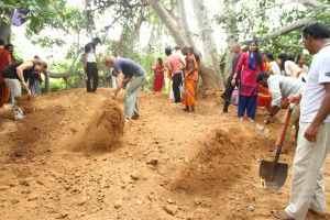 20160911 Photo 1513 1AtYchglNwLjdAn9LPAwb6-o8mFIa7u-c.JPG