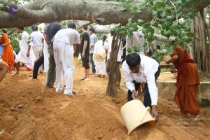 20160911 Photo 1586 1VCFQl5JJgbV0MjMuB8TAbxnmlBYrtrXr.JPG