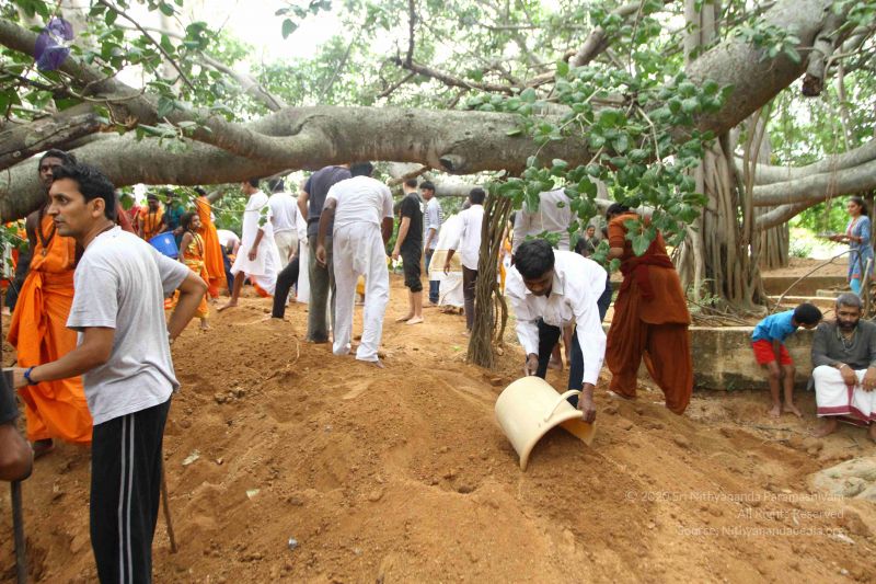 File:20160911 Photo 1590 1m7L4m4oSbov4oyOJJX4FcZ 8lZZ26Ant.JPG