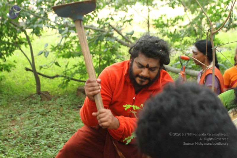 File:20160911 Photo 1606 170DJTHsG0D-OGTwlNPEyXLmTQ3yyZ68G.JPG