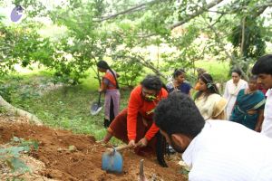 20160911 Photo 1609 1vkLhkkOtZSHzuDwrTy7IlOG41wofEZ3m.JPG