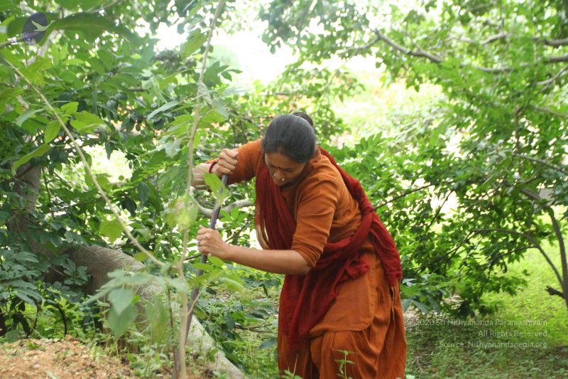 File:20160911 Photo 1610 13a7y51ZNZApWtjfbIfB5wvdXdeF0YDv3.JPG