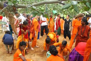 20160911 Photo 1617 15IVbzYhXeTR fSOVD4ocLF p2D SSgLq.JPG