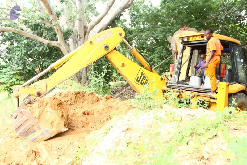 File:20160911 Photo 1660 1rKkwx5a8sw3Oxc6NRx5QRVR1pTH bL1r.JPG