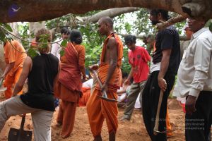 20160911 Photo 1707 1IxxNOkizgbX0Gu56NyzznehQL3ebRAUI.JPG