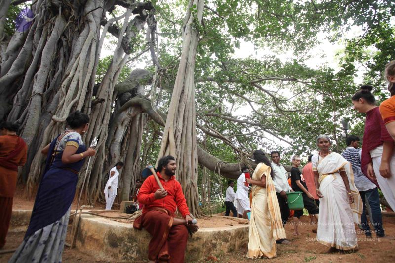 File:20160911 Photo 1774 1IF1IvyirDVlXLklRa8SIgPRFIFvlF-sX.JPG