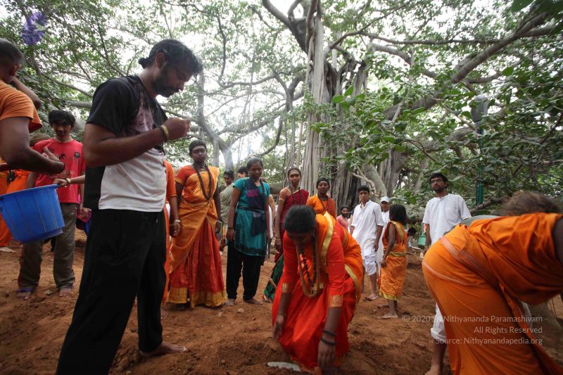 File:20160911 Photo 1787 1pX0LsivXvfIfJzsURVtm68xSr3qyLhso.JPG