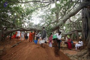 20160911 Photo 1789 1Tsuw6oFKR1hZ3zxC-tGV 9DAd6NSgRYT.JPG