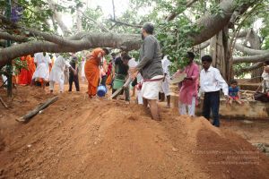 20160911 Photo 1790 1LtFoTLYn22Azppdut9GjEOjJOrsTEtuc.JPG