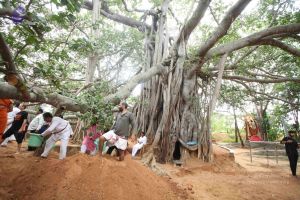 20160911 Photo 1791 1pN6S4x9 x1WBEBaimJ nVeBOxQEQ7UoX.JPG