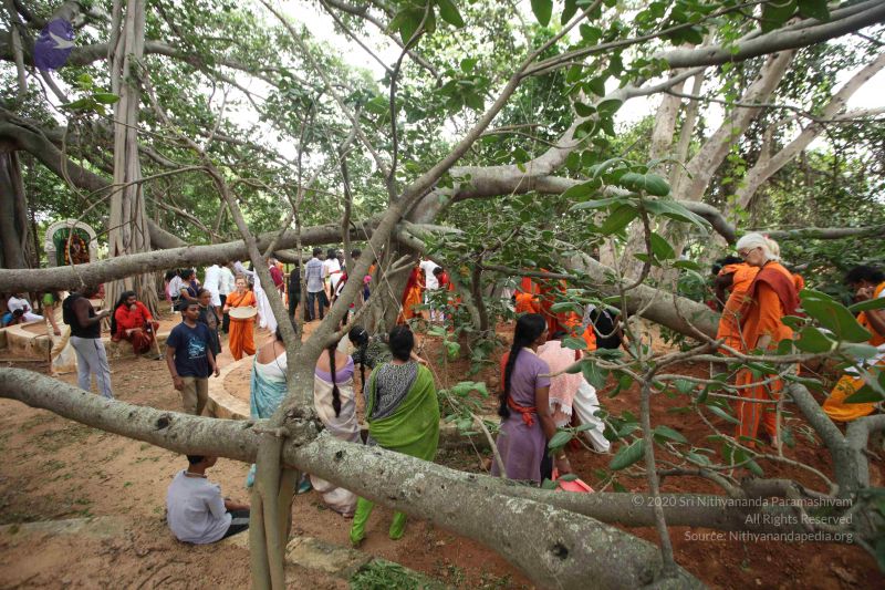 File:20160911 Photo 1796 1ZC6dTk pz3NHXLj77MyLC1L6E6DOSSdF.JPG