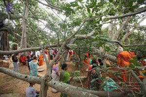 20160911 Photo 1797 1nd F6BliClljlpYJC65oQPqkvCqqV64M.JPG