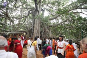 20160911 Photo 1799 1p8dIsubnvoIv050pAYwiuLnYFTvR4UMG.JPG