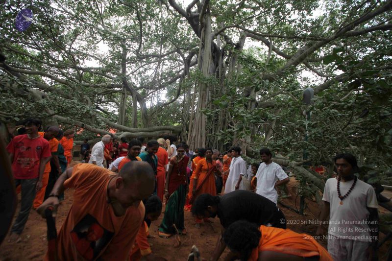 File:20160911 Photo 1800 1ln4SqN3Zlhexip LzzUV2pgVdbNh6xz3.JPG