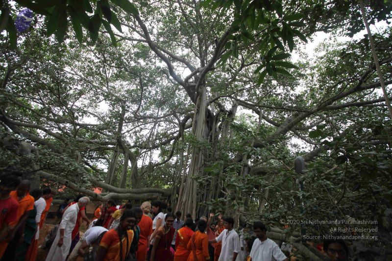 File:20160911 Photo 1801 1H1wYScmmAv-J12V16P0dvMRIvP7HSwby.JPG