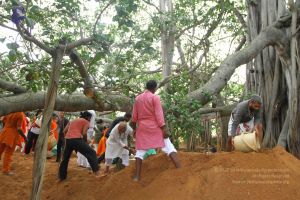 20160911 Photo 1818 1Wax Kh2C-0aQ9h8W8hptXUVHsk1ZhcWt.JPG