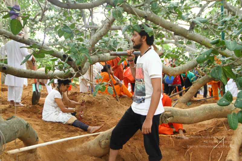 File:20160911 Photo 1822 1sBsXHtmA3R0iheNERJHTUlxmwBwUYUOy.JPG