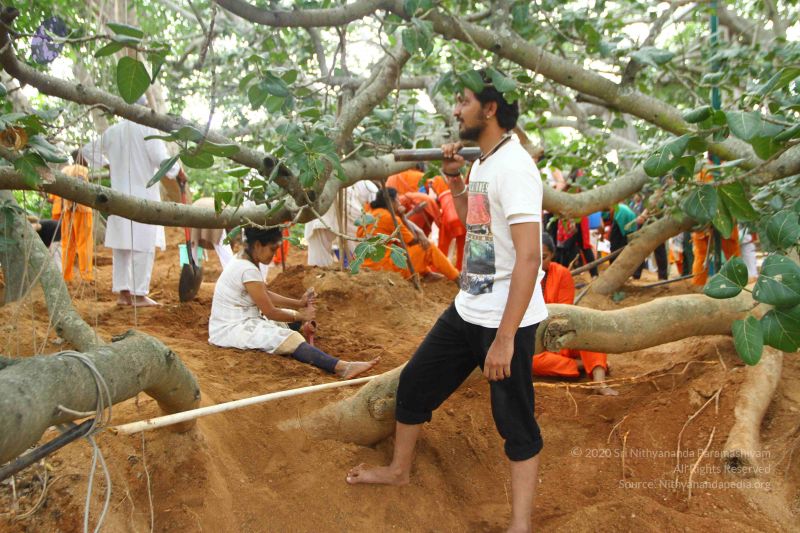 File:20160911 Photo 1823 1RDHgmzt IibQflhbrvQ72YuGwNcFz~P.JPG